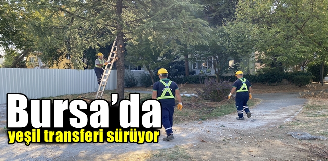 Bursa’da yeşil transferi sürüyor