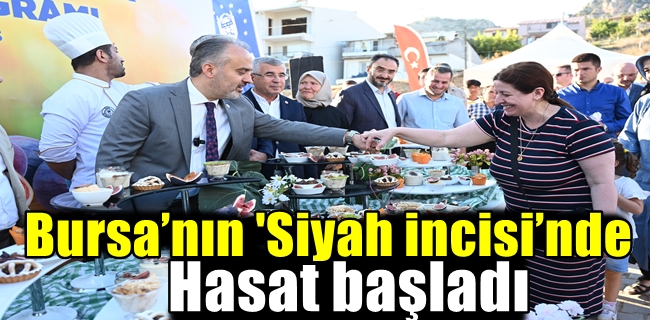 Bursa’nın 