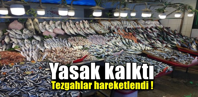 Yasak kalktı balıkçı tezgahları hareketlendi !