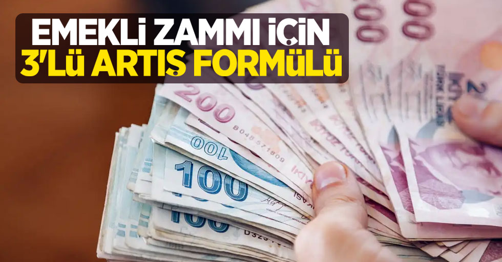 Emekliye ara zam mı ? ikramiye mi ? masada üç formül var !