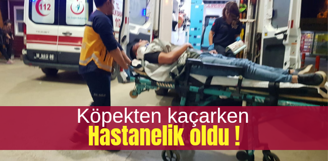 Köpekten kaçarken hastanelik oldu !
