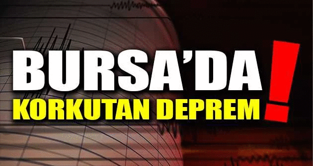 Bursa