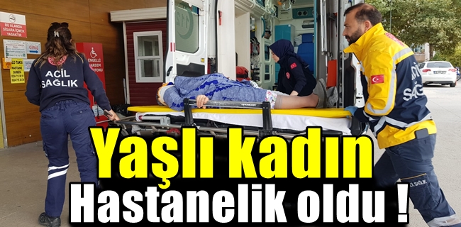Yaşlı kadın hastanelik oldu !