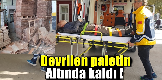 Devrilen paletin altında kaldı !