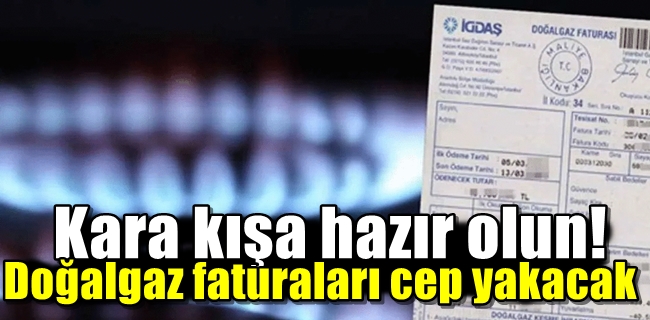 Kara kışa hazır olun! Doğalgaz faturaları cep yakacak