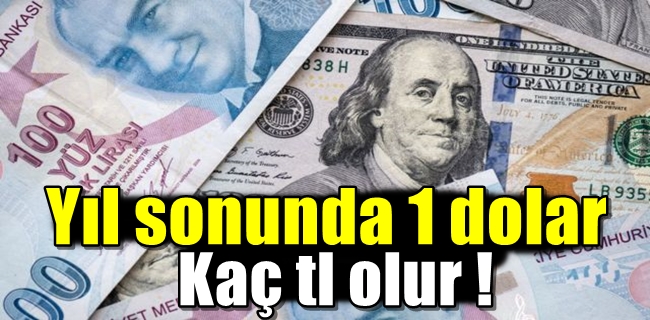 Yıl sonunda 1 dolar kaç tl olur !