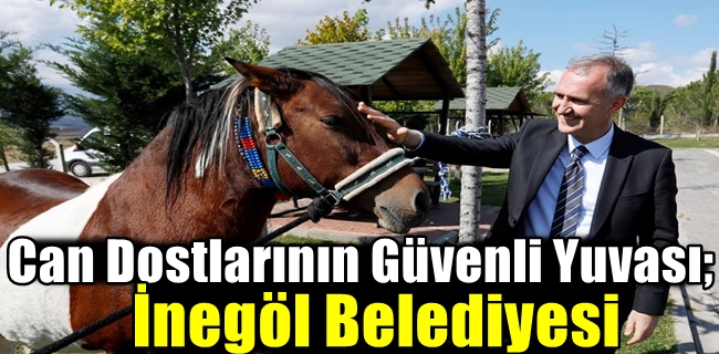 Can Dostlarının Güvenli Yuvası; İnegöl Belediyesi