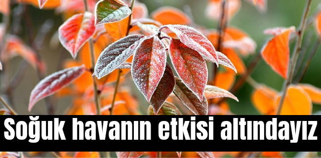 Donuyoruz !