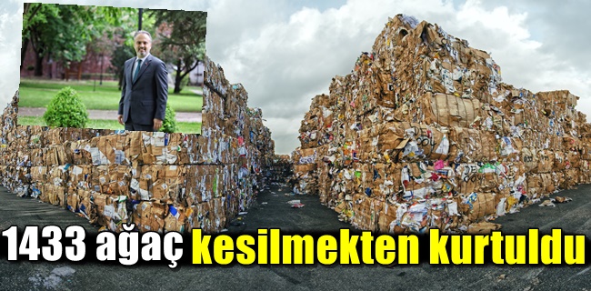 1433 ağaç kesilmekten kurtuldu