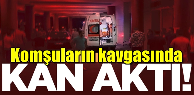Komşular arasında çıkan kavgada kan aktı !