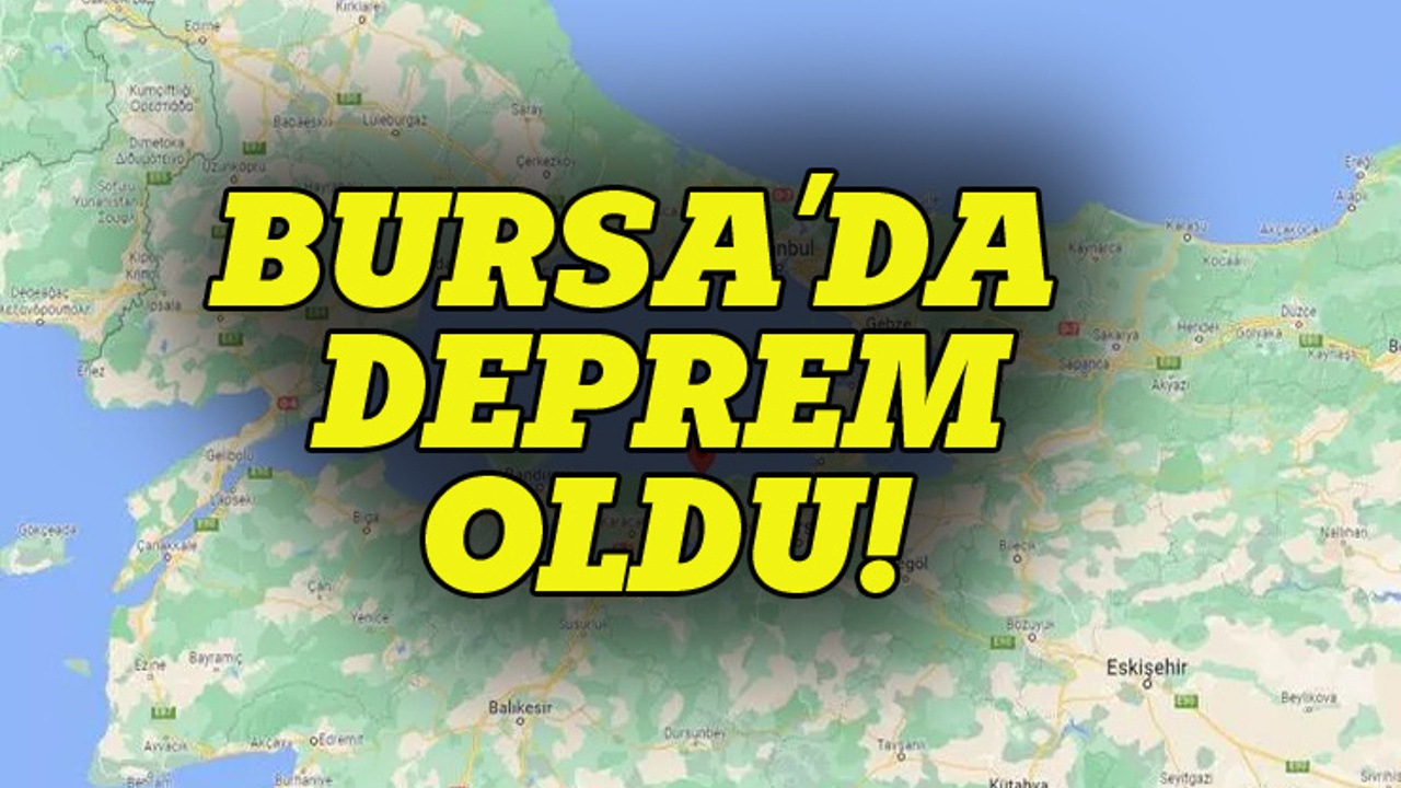 Bursa