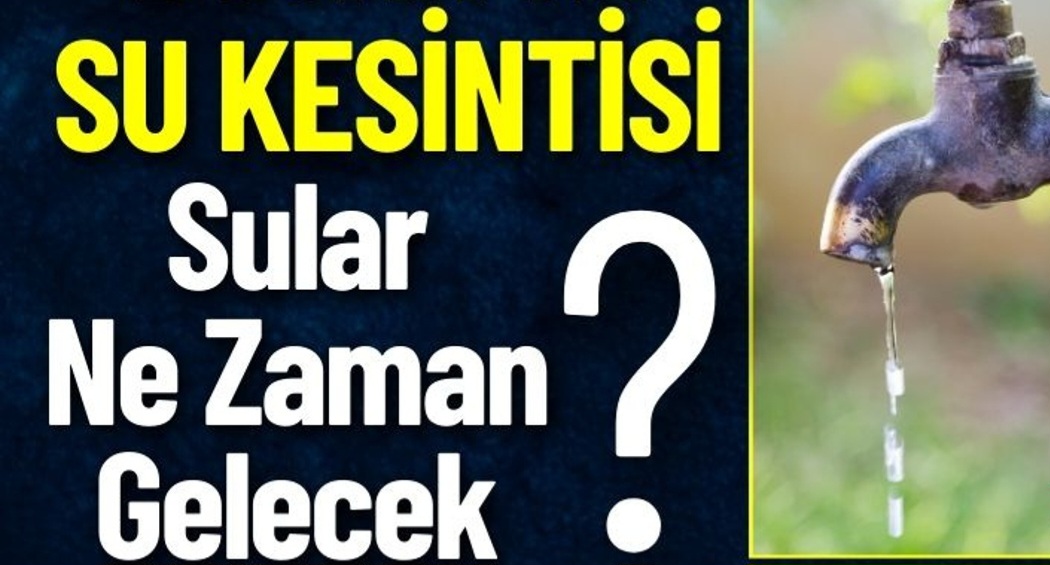 Alanyurt